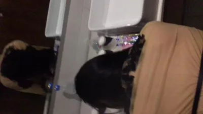 小八戒电影网
